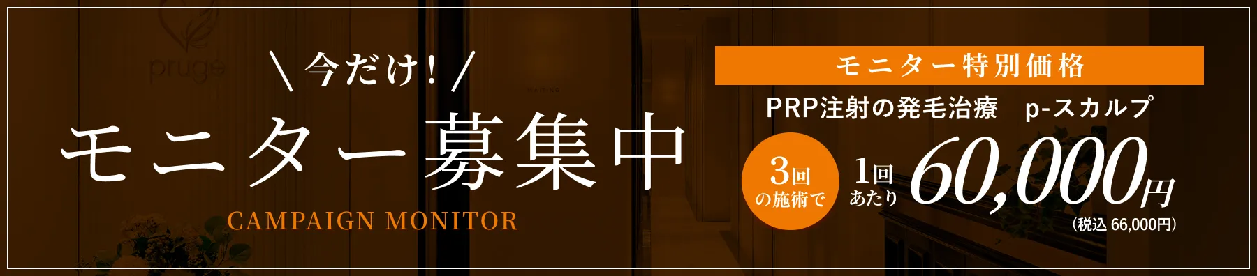 モニター募集中