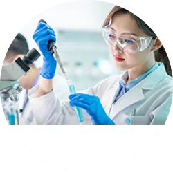 成長因子の抽出