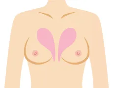 谷間を強調したい