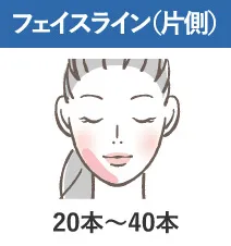 フェイスライン(片側)