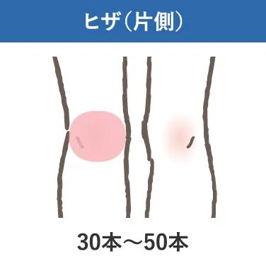 ヒザ(片側)