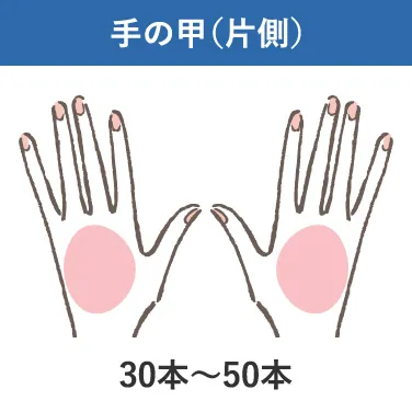 手の甲(片側)