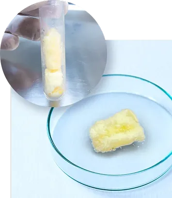 唯一無二のフリーズドライ技術