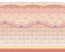 新しい肌が再生し、凹みやくすみが改善