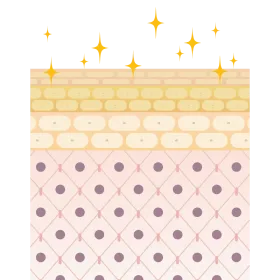 肌再生効果と角質除去効果による高い美白効果