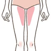 内もも（両側）の施術イメージ