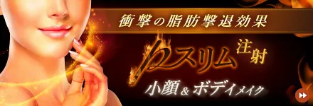pスリム注射（脂肪溶解注射）